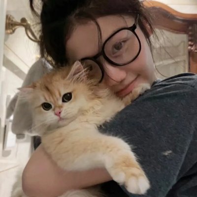 盗贼泰瑞莎